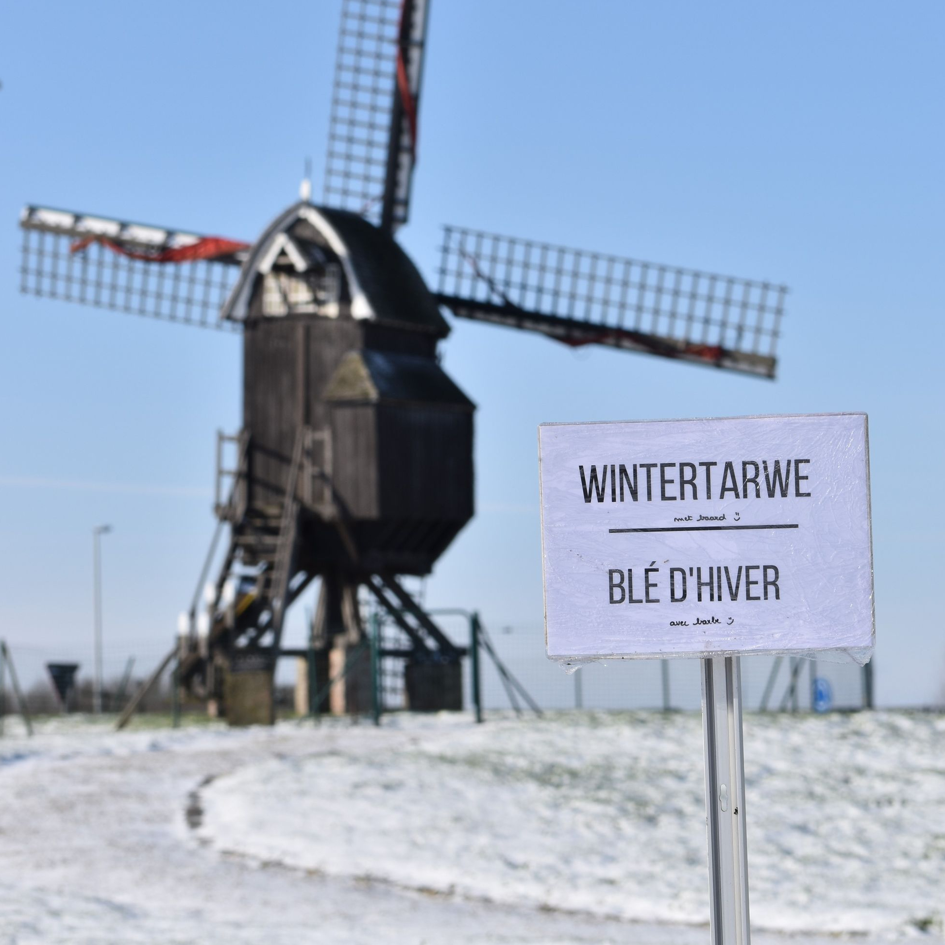 Jaarlijkse sluitingsperiode van 8 t.e.m. 31 januari