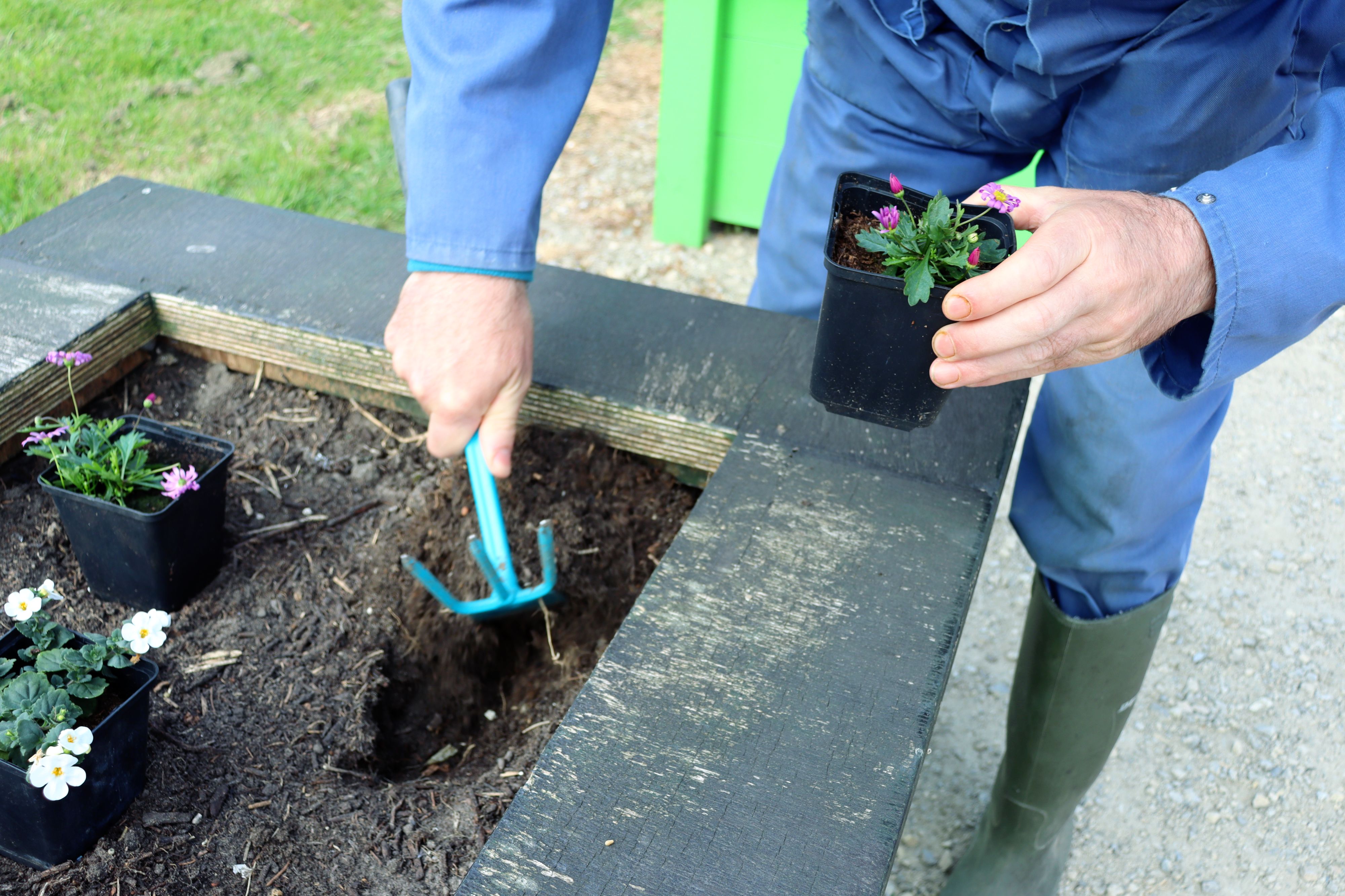 GEZOCHT! Tuinvrijwilligers